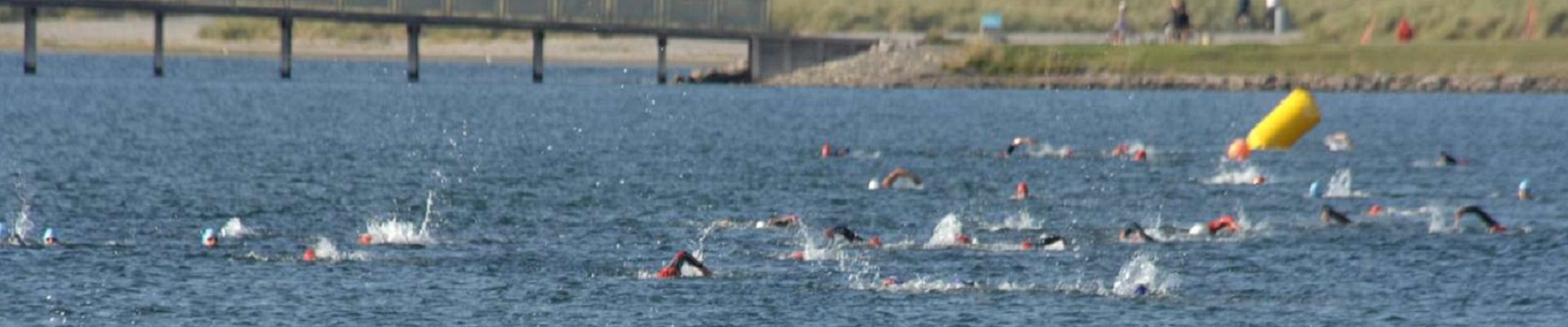 AMAGER OPEN WATER 2019